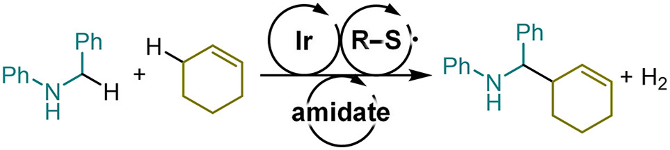 Acceptorless Dehydrogenative Aminoalkylation of Allylic C(sp3)–H Bonds via Reversible Hydrogen Atom Transfer